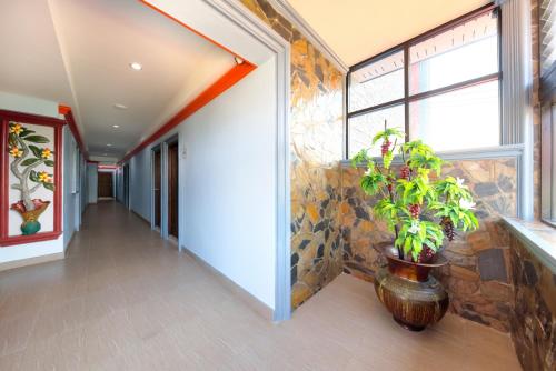 Hostels in Thailand 27 332152589