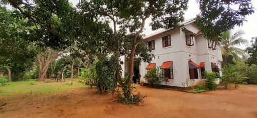 Hostels in Sri Lanka 2 339564786