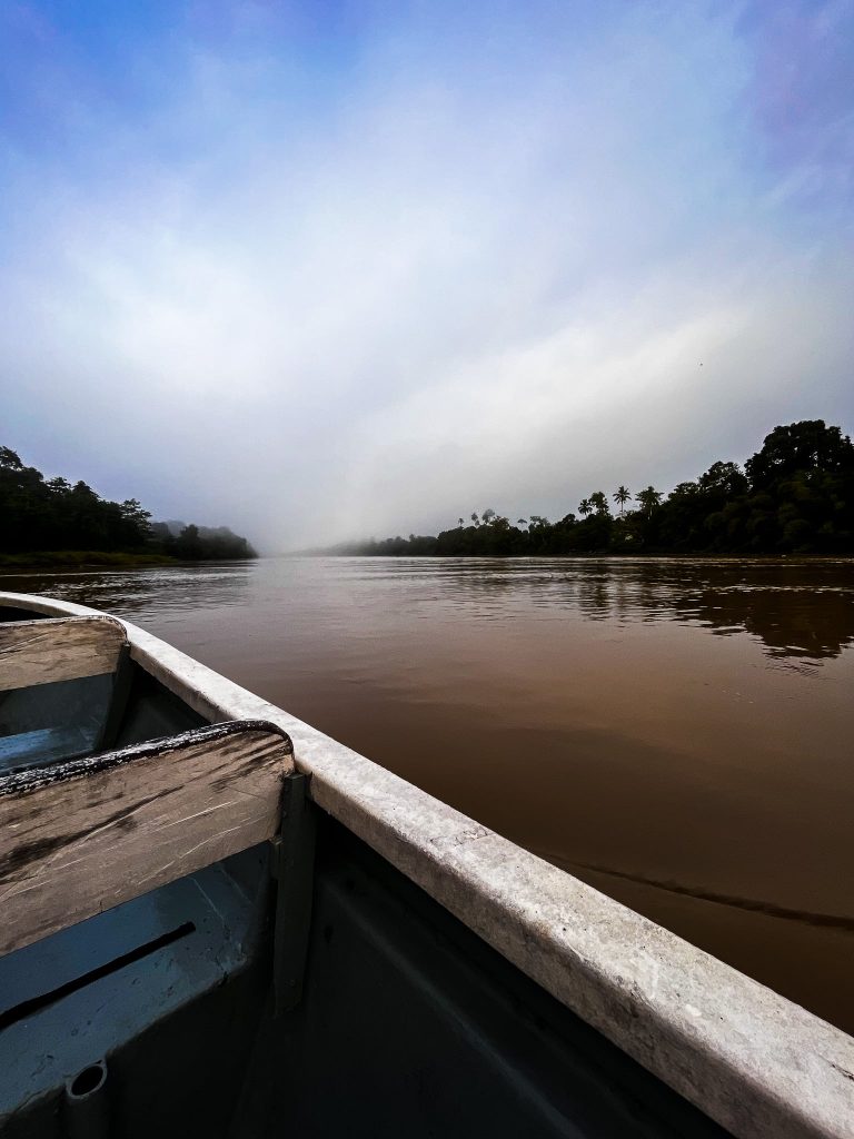 Kinabatangan Rivier: must do! 7 Boat Kinabatangan river tour