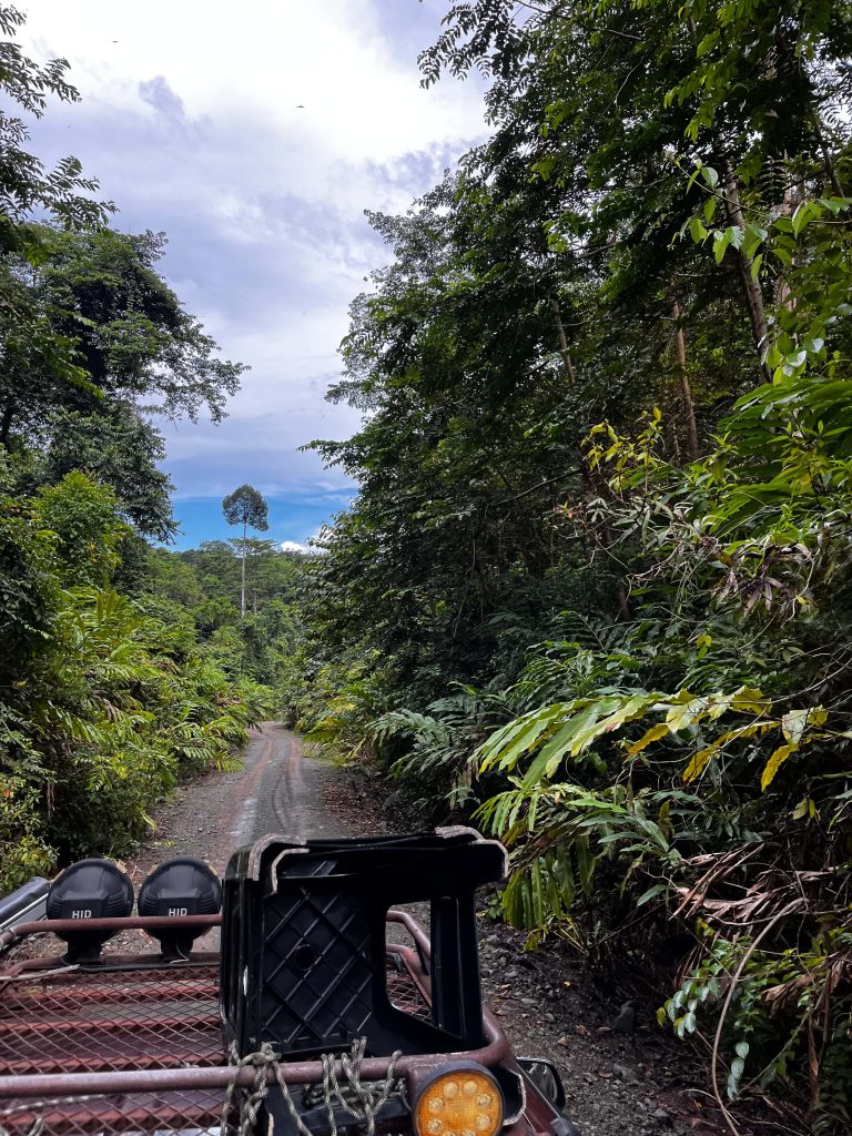 Deramakot Forest Reserve: In Borneo Orang Oetans spotten 2 Borneo jungle tour jeep