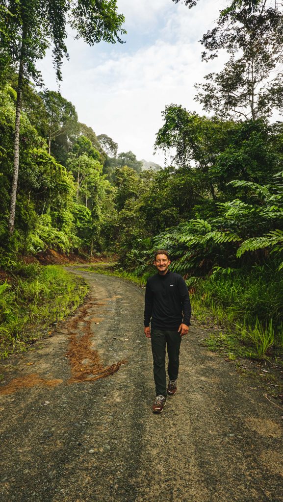 Deramakot Forest Reserve: In Borneo Orang Oetans spotten 5 Borneo jungle walk tour