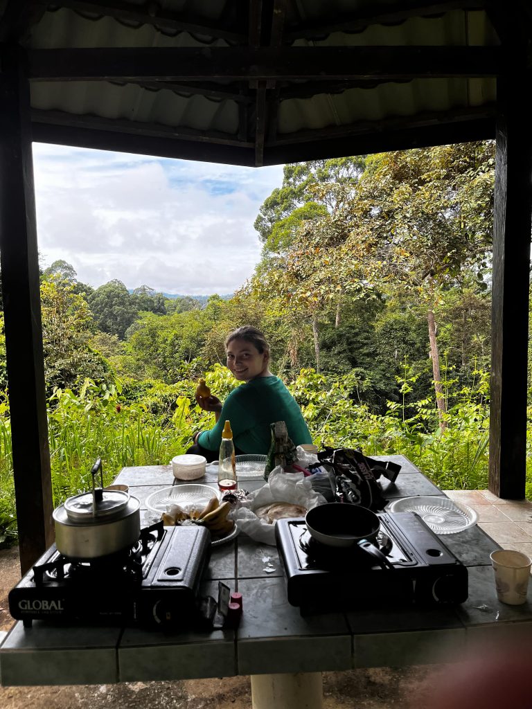 Deramakot Forest Reserve: In Borneo Orang Oetans spotten 6 Breakfast jungle Borneo Deramakot
