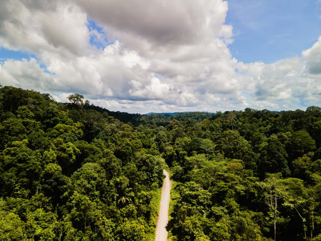 Deramakot Forest Reserve Drone