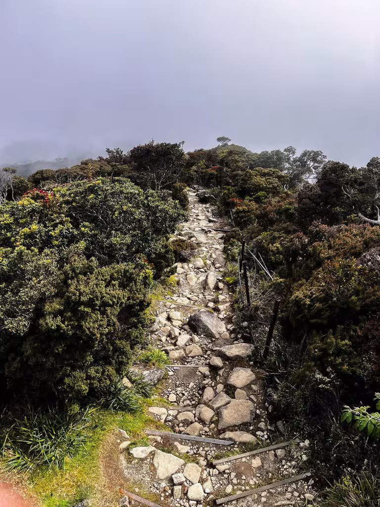 Doen: beklim Mount Kinabalu! 7 Hiking Mount Kinabalu Borneo
