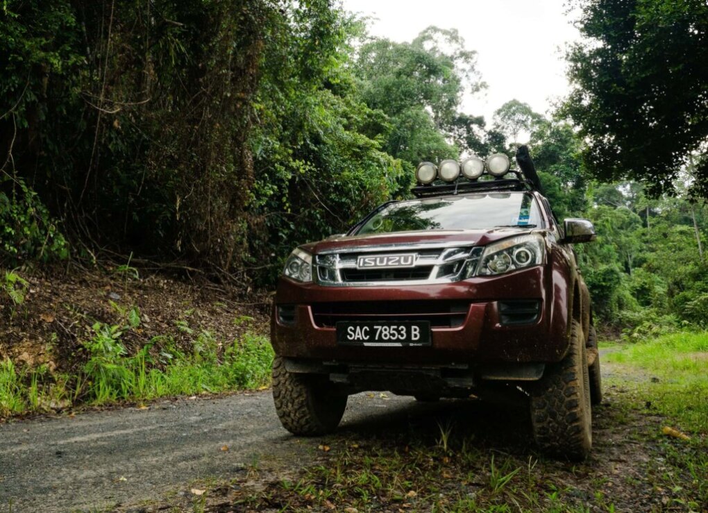 Deramakot Forest Reserve: In Borneo Orang Oetans spotten 1 Jeep jungle tour Borneo