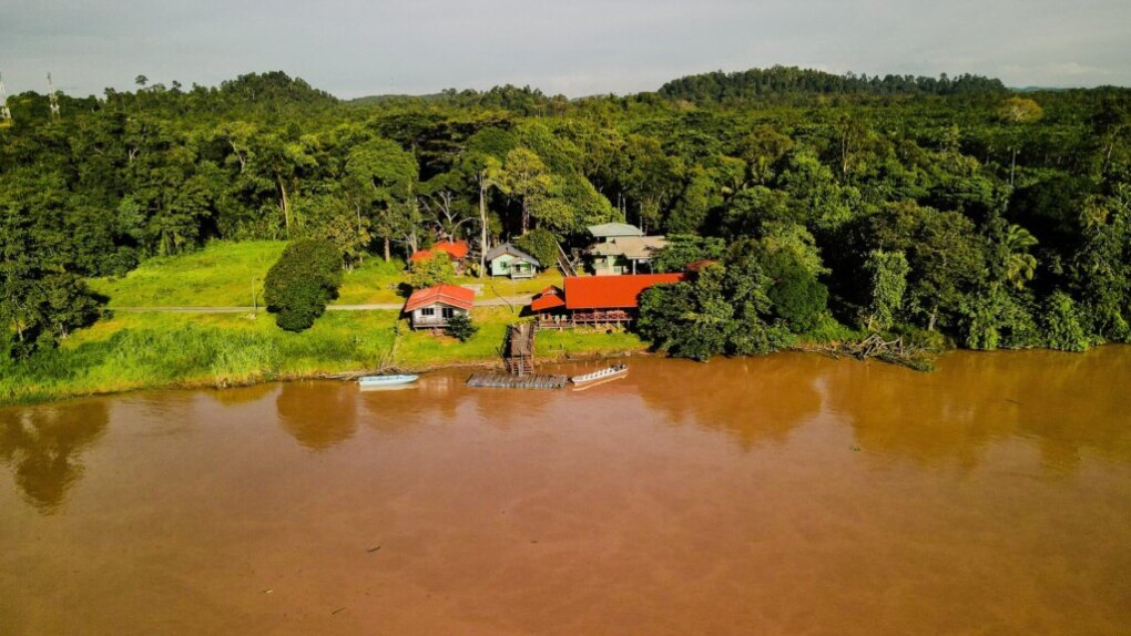 Kinabatangan Rivier: must do! 10 Kinabatangan river jungle Borneo