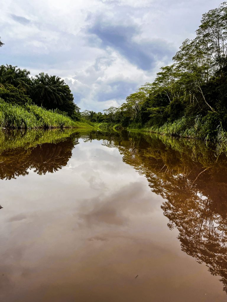 Kinabatangan Rivier: must do! 5 Kinabatangan river tour