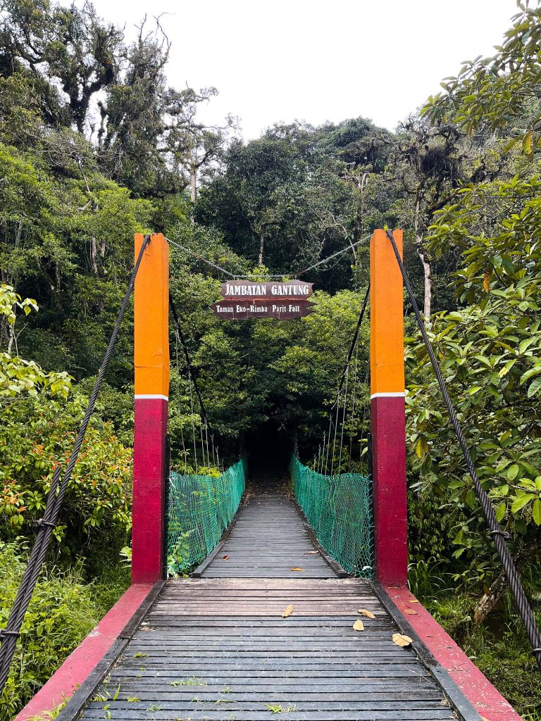 Brug jungle hike 4 Cameron Highlands