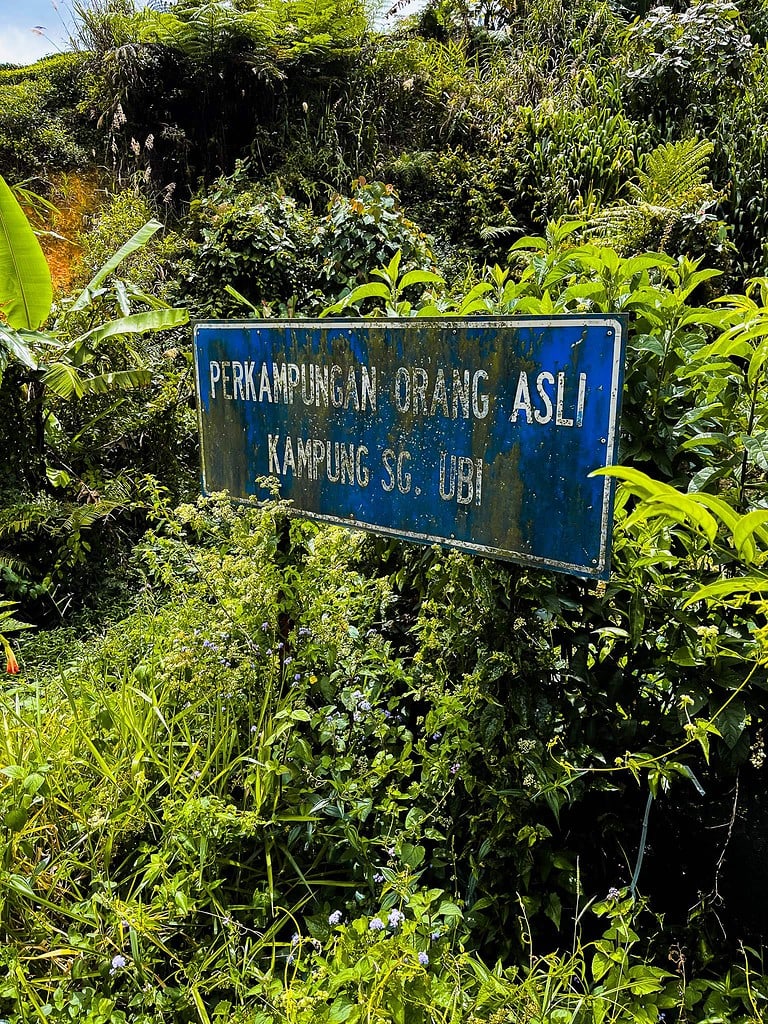 Cameron Highlands hike jungle trail 6 theeplantage