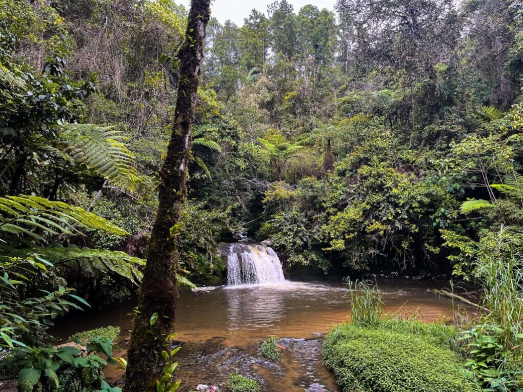 Cameron Highlands jungle hike 4