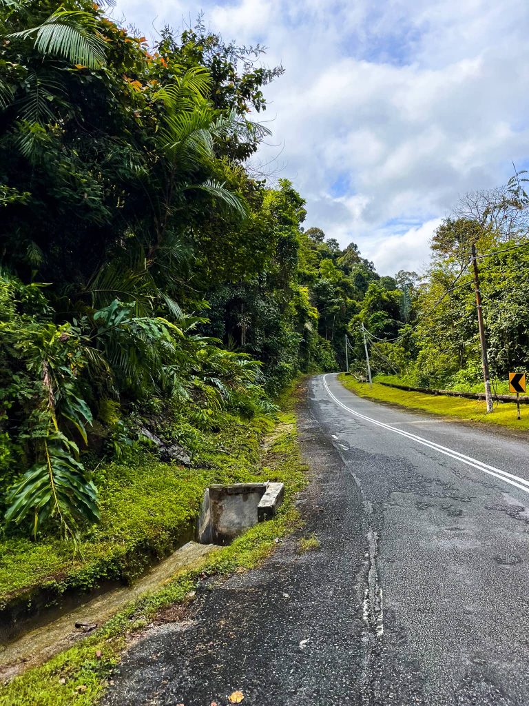 De 7 leukste activiteiten op Langkawi 8 Weg naar boven viewpoint Langkawi