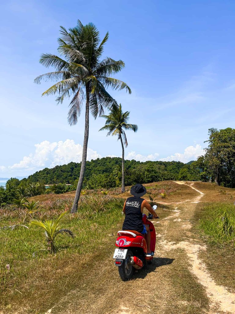 Asia scooting