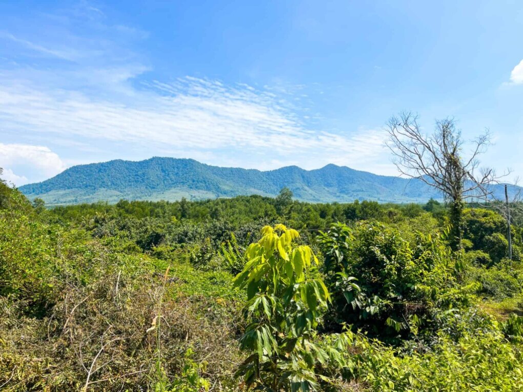 Views of Koh Yao Yai