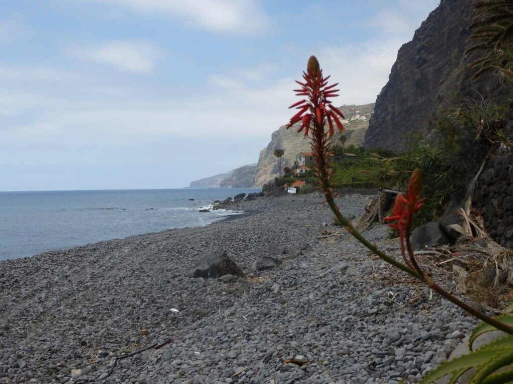 De 8 mooiste stranden op Madeira 1 Zwart zand Madeira