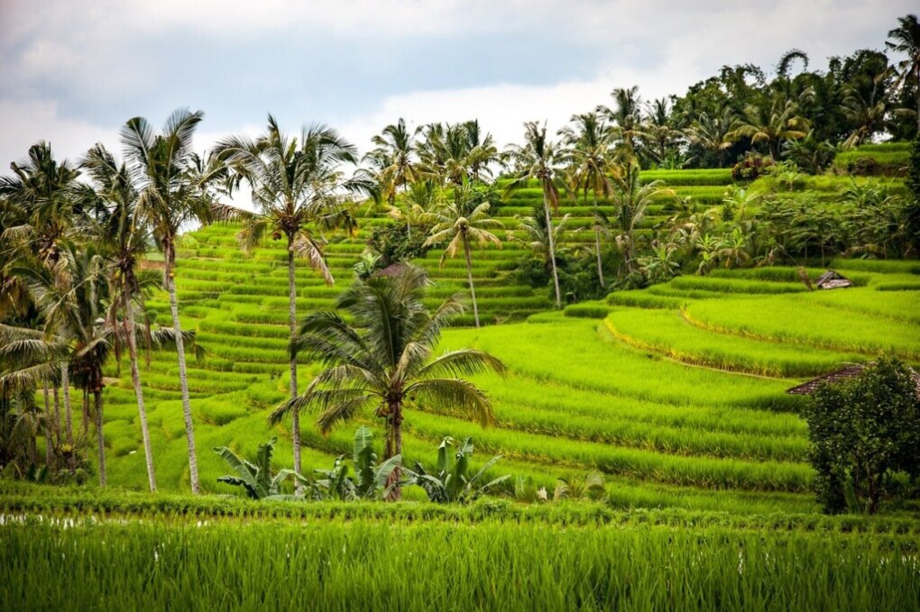 The 13 best destinations for solo traveling 8 Alone on vacation Bali