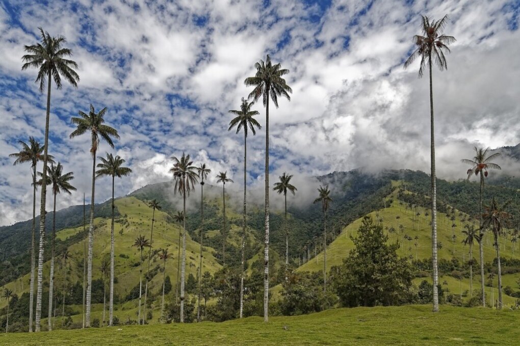 The 13 best destinations for solo traveling 11 Alone on vacation Colombia