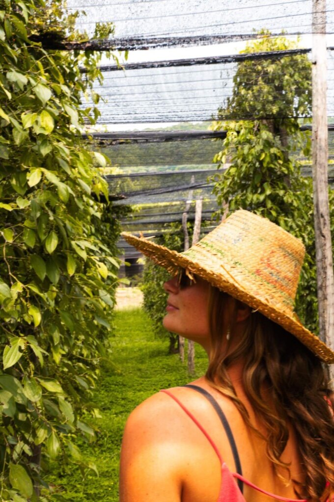 Wat te doen in Kampot? 7 leuke activiteiten 7 Tour La Plantation Kampot