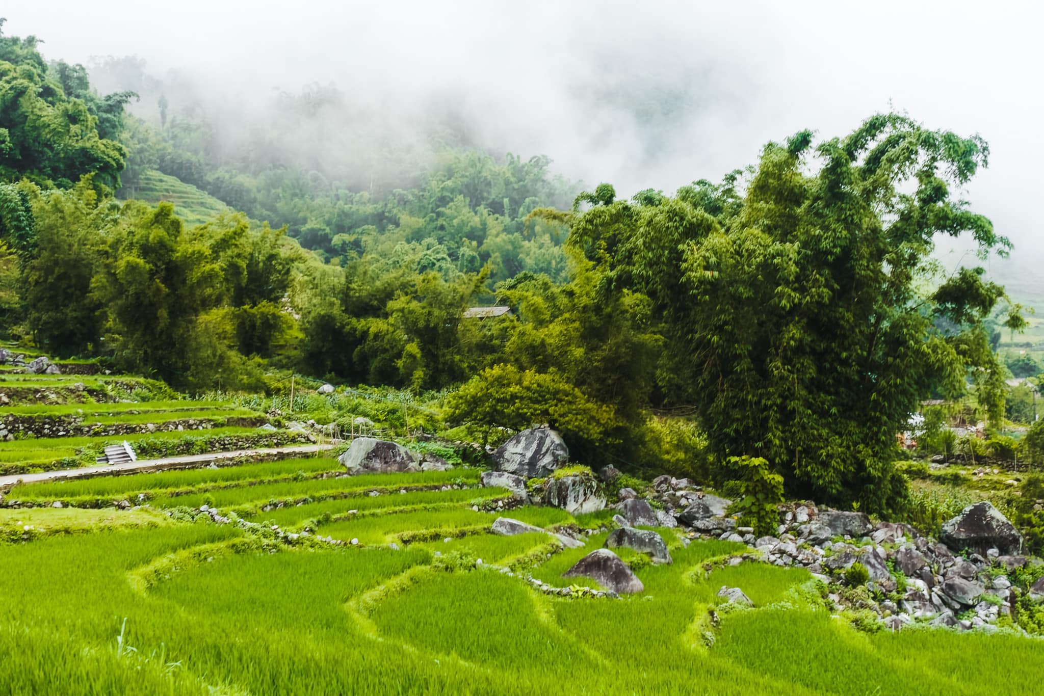 Sapa trekking wonderful
