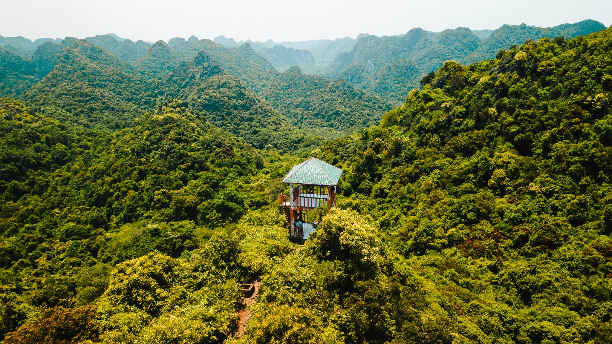 Northern Vietnam itinerary 3 weeks 10 Viewpoint Cat Ba Ngu Lam national park