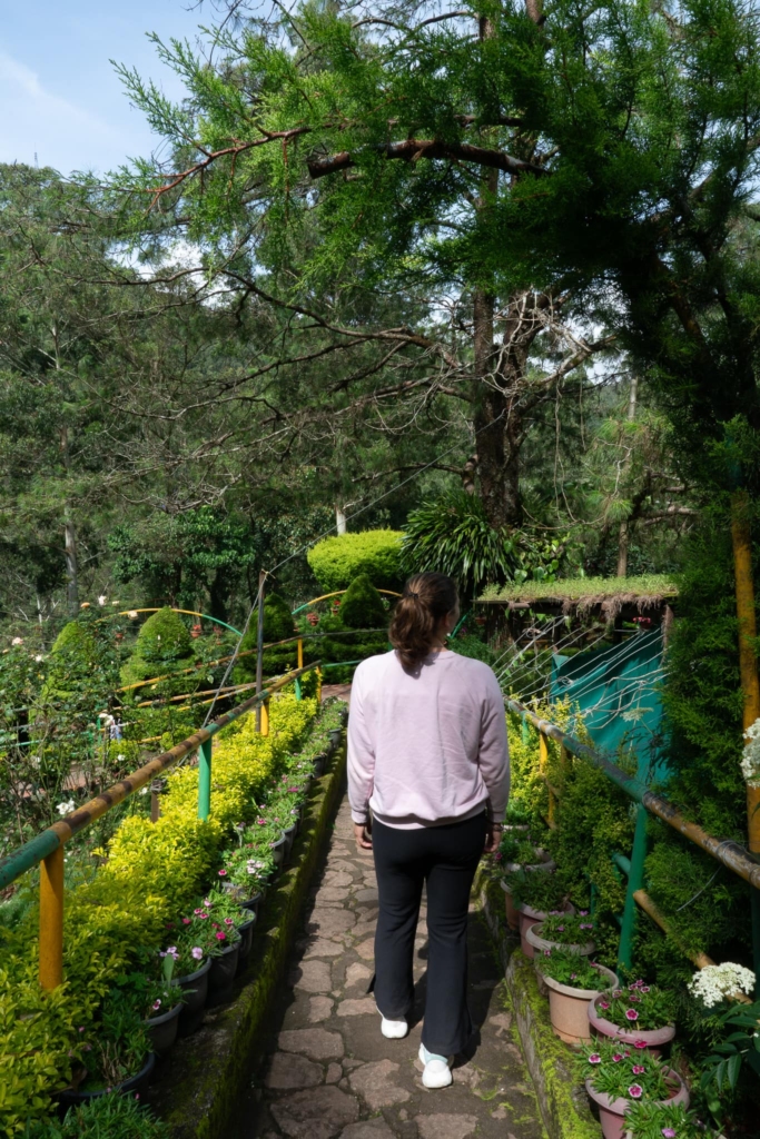 Ontdek Munnar in India: theevelden en prachtige uitzichten 11 Flower garden Munnar