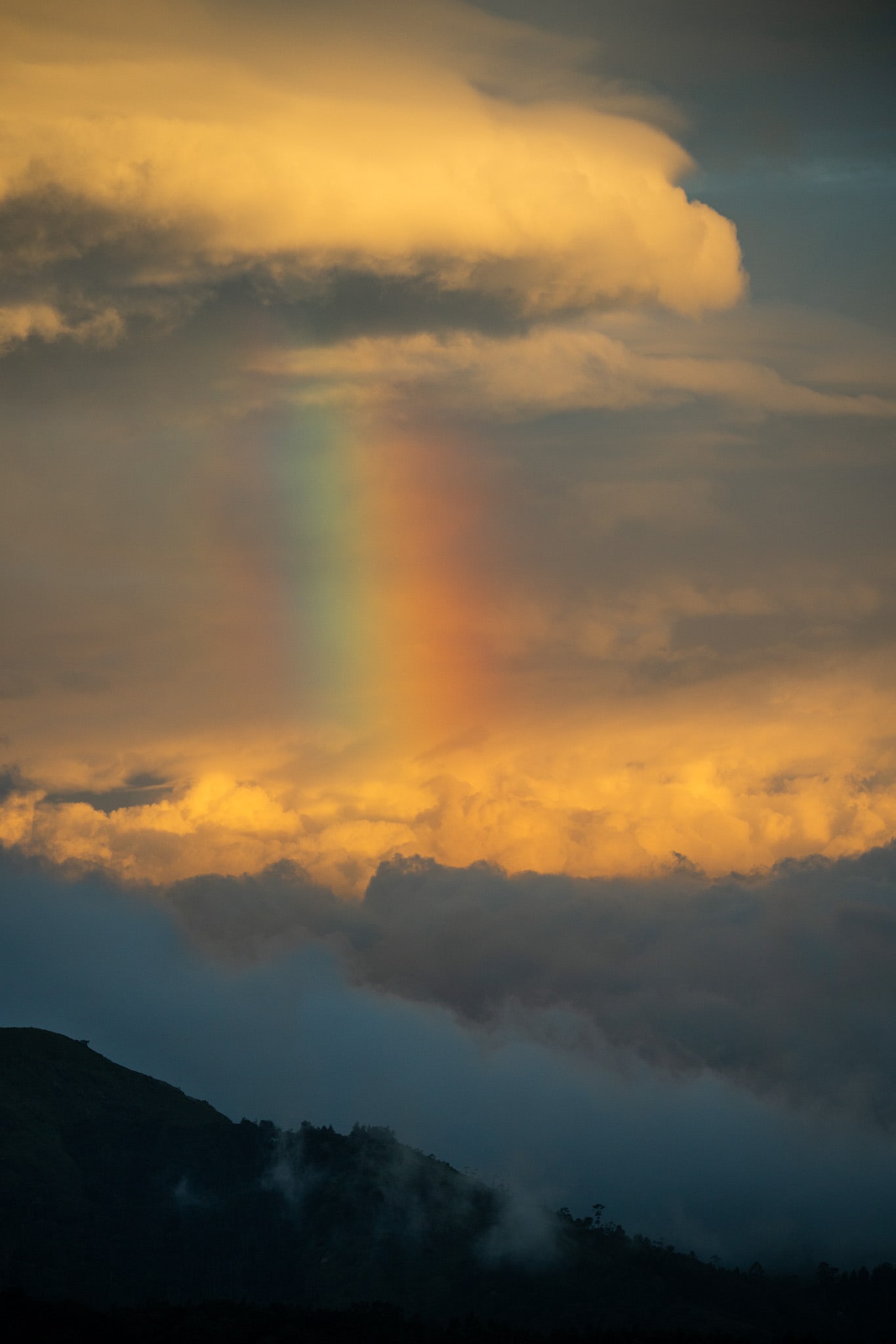 Ontdek Munnar in India: theevelden en prachtige uitzichten 1 Rainbow Munnar