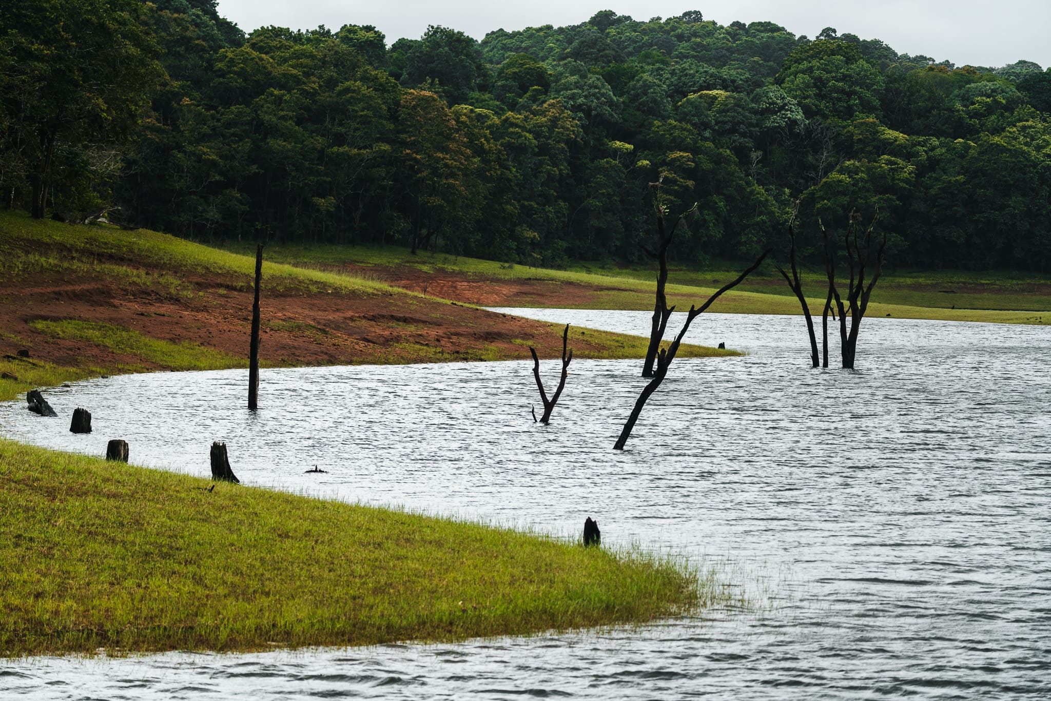 Surroundings boating Periyar National Park