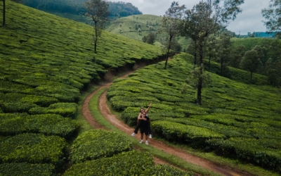 Ontdek Munnar in India: theevelden en prachtige uitzichten