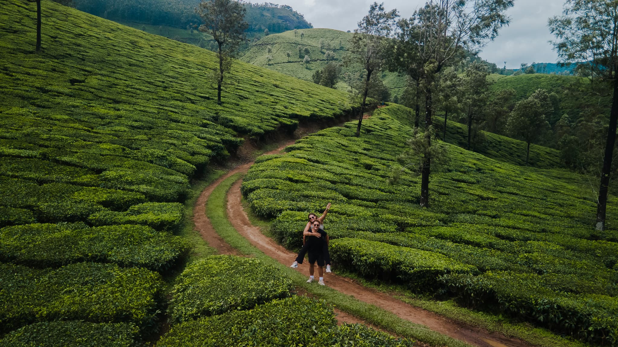 Tea field Munnar