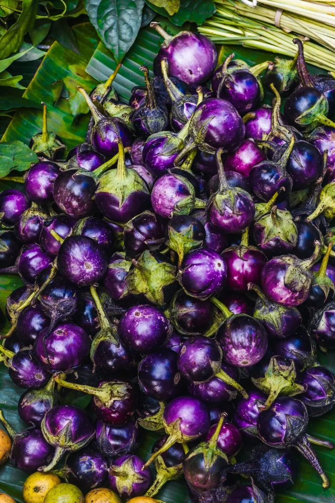 Eggplants morning market Luang Prabang