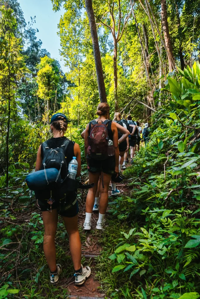 The Gibbon Experience: highlight of Laos! 3 Gibbon Experience Express tour group