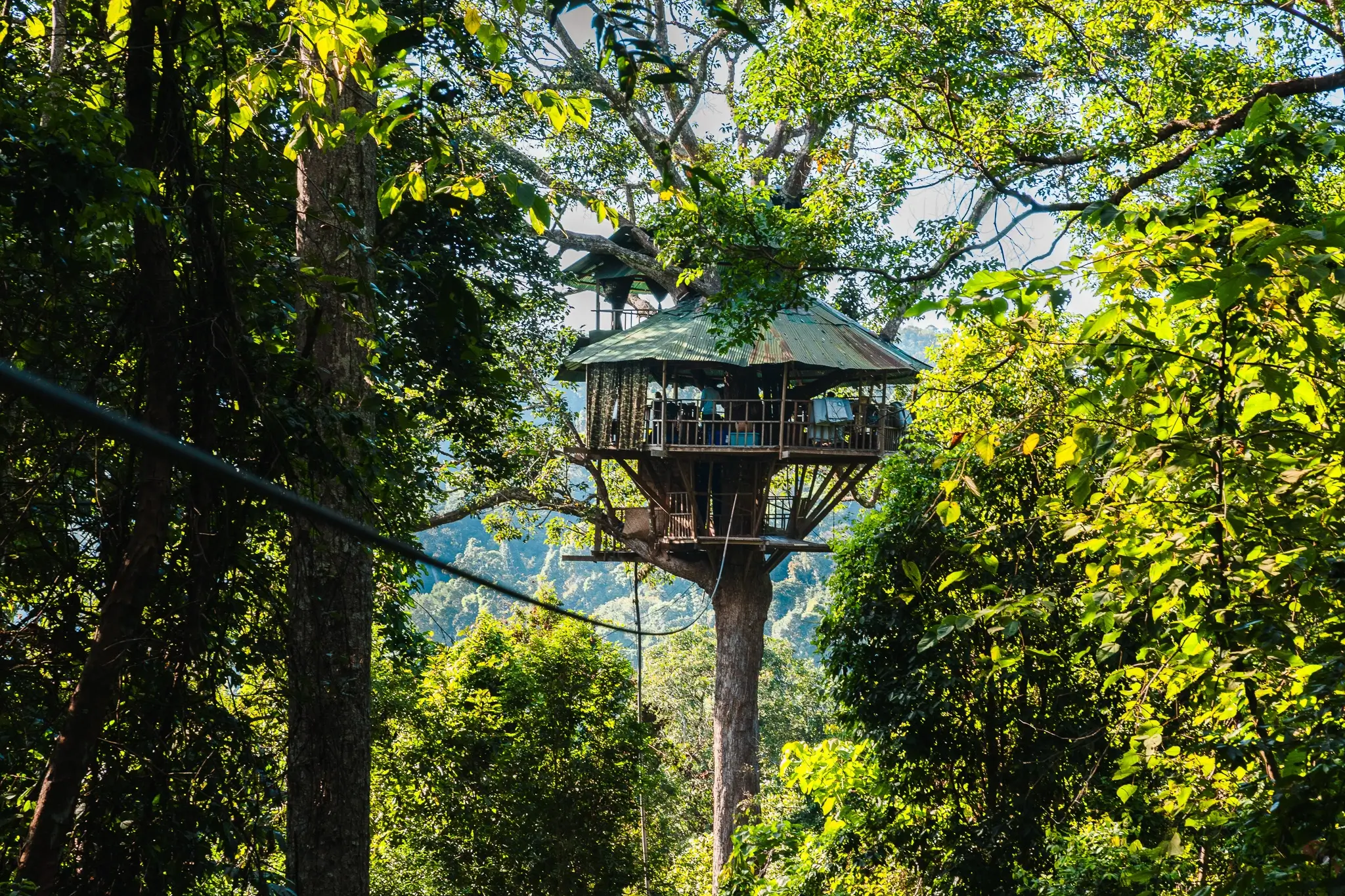 The Gibbon Experience: highlight of Laos! 4 Gibbon Experience Laos