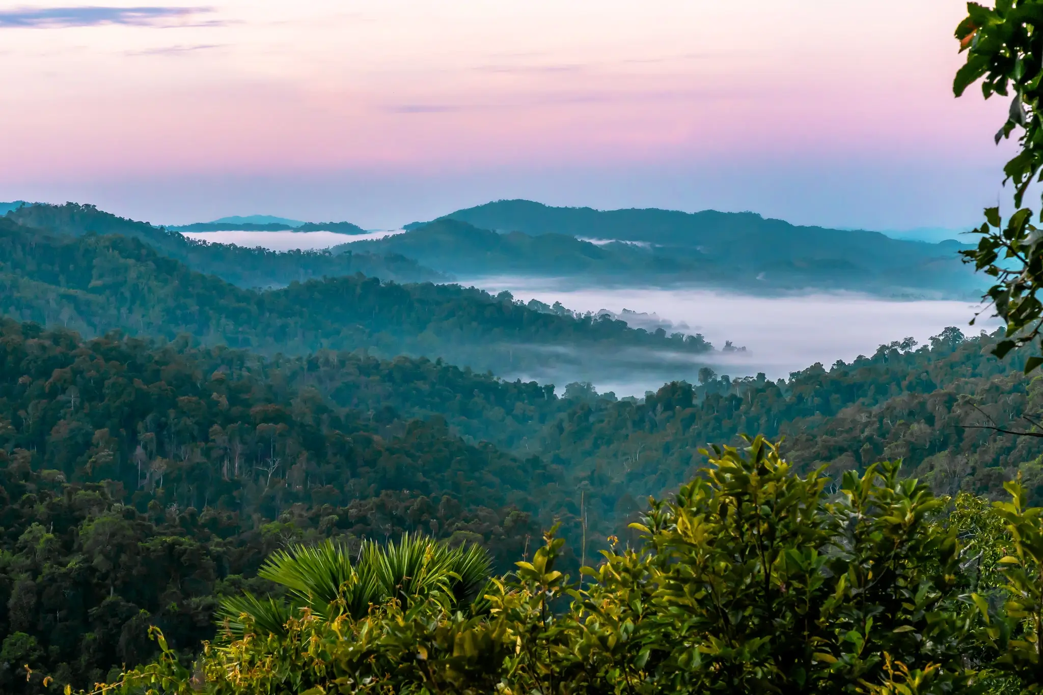 The Gibbon Experience: highlight of Laos! 7 Sunrise Gibbon Experience