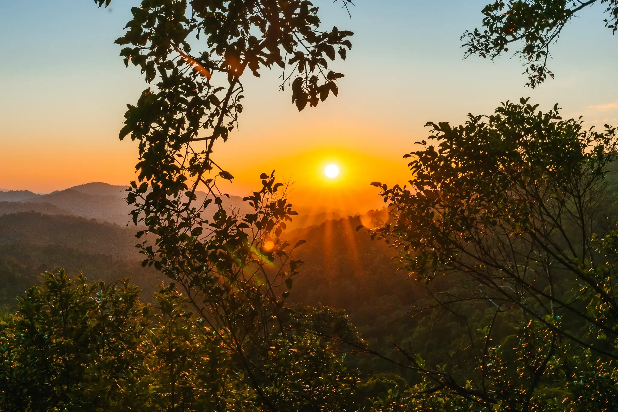 The Gibbon Experience: highlight of Laos! 6 Sunset Gibbon Experience