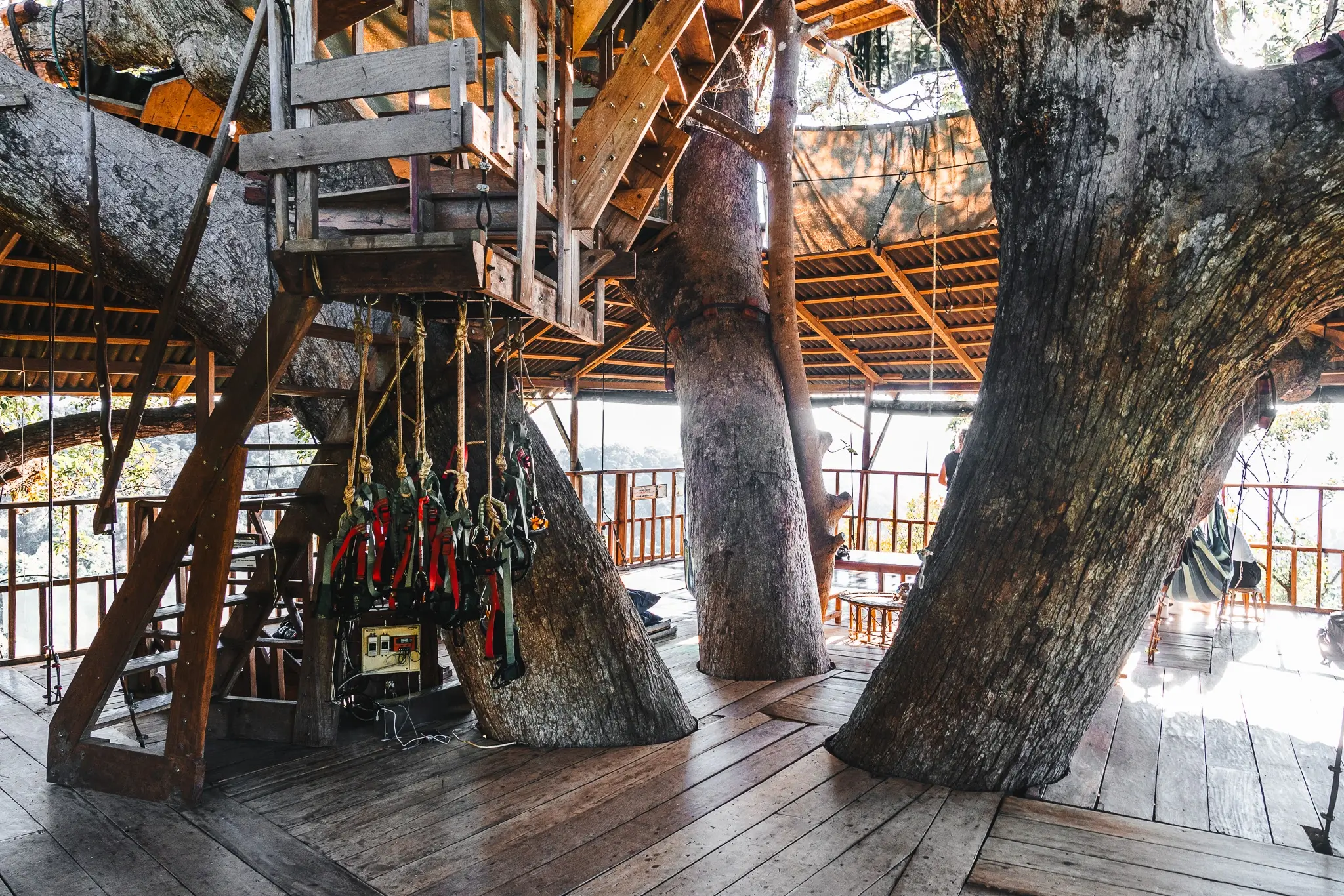 The Gibbon Experience: highlight of Laos! 5 Tree house Gibbon Experience