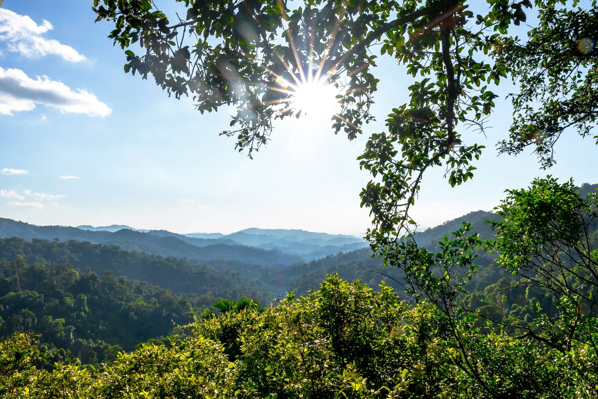 The Gibbon Experience: highlight of Laos! 1 View from Tree House Gibbon Experience