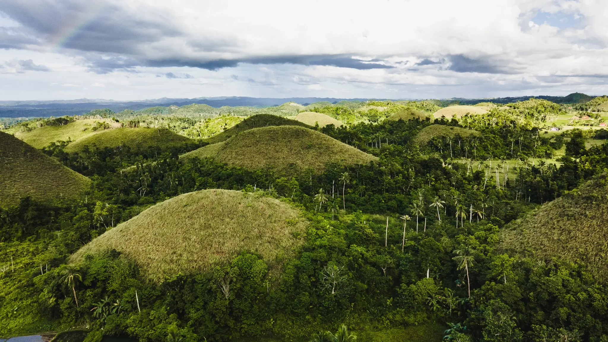 Chocolate hills bohol