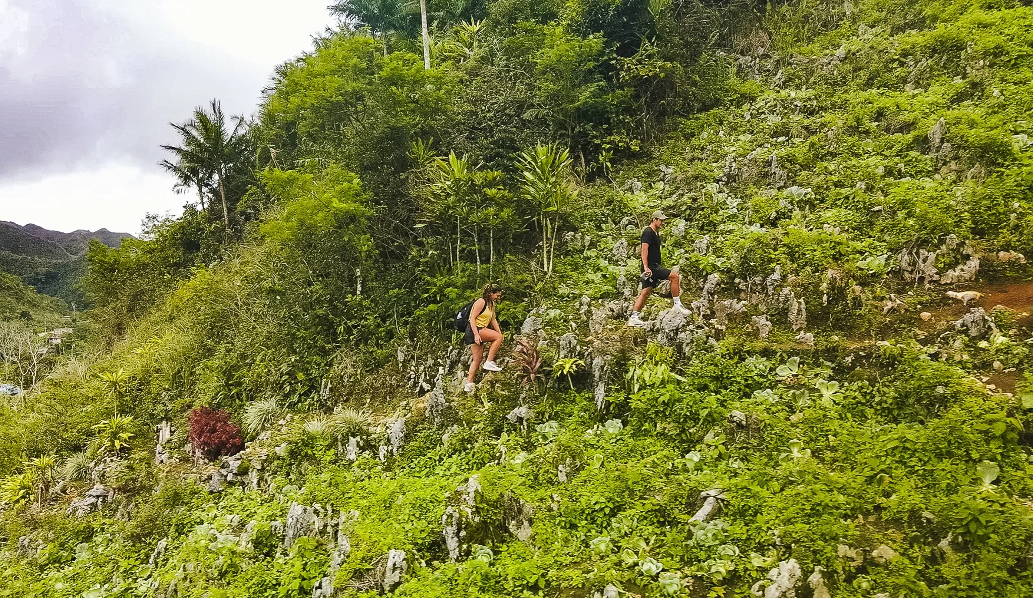 Nature Moalboal