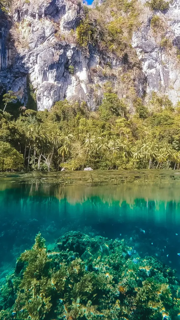 El Nido: ontdek het prachtige Palawan 4 El Nido underwater