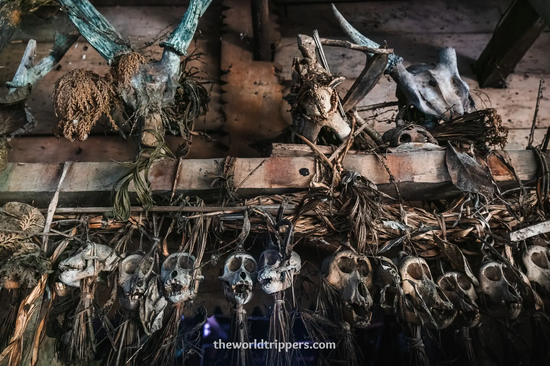 Bucketlist: bezoek de Mentawai stam en leef in de jungle in Siberut, Sumatra 7 Monkey skulls