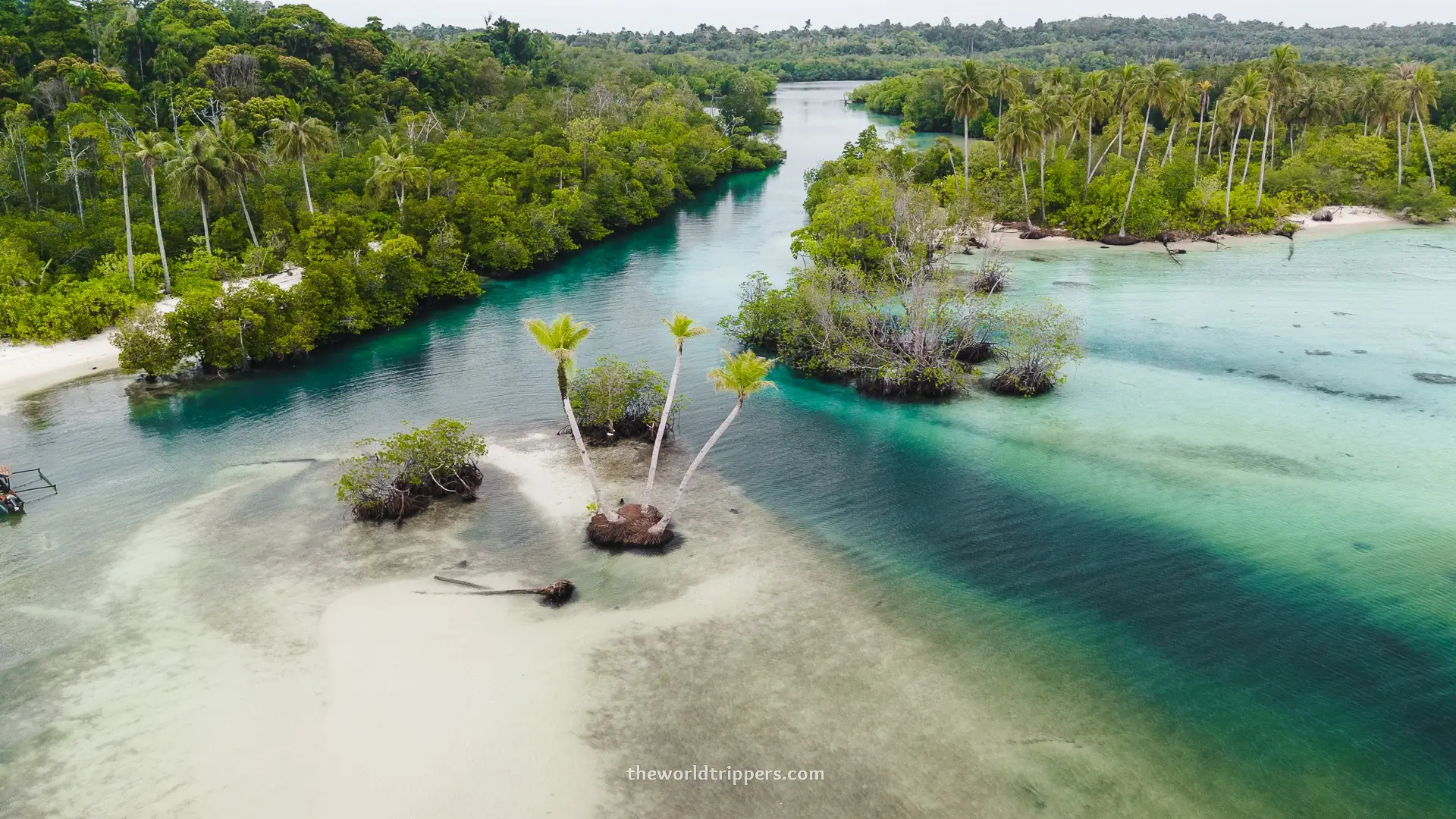 Discover Sipora: relaxing and surfing on the Mentawai Islands in West Sumatra 6 Thee Sisters Palm trees Sipora
