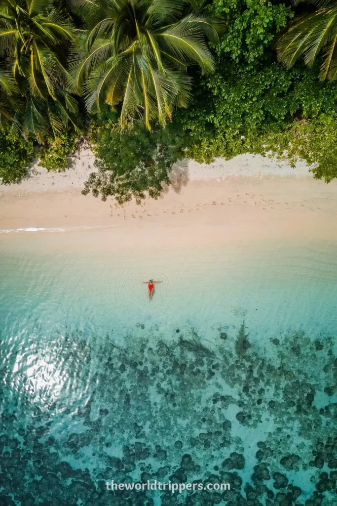 Discover Sipora: relaxing and surfing on the Mentawai Islands in West Sumatra 5 Topdown shot beach sea palms