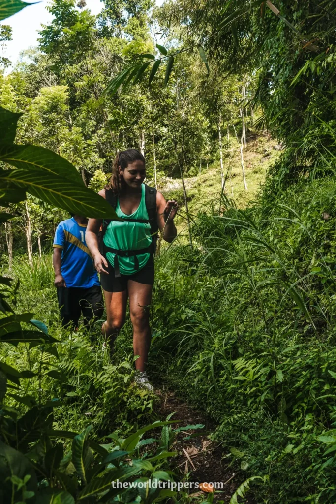 Hike Tetebatu