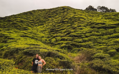 Hiking in the Cameron Highlands: 14 routes