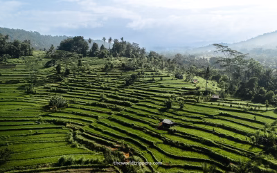Things to do in Sidemen in Bali? 10 unique tips