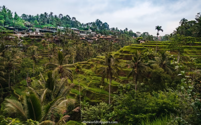 Hiking in Ubud: the most beautiful hike trails through the rice fields
