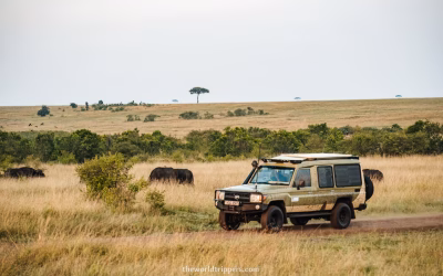 Home 3 Self drive in Kenya: car rental in Kenya