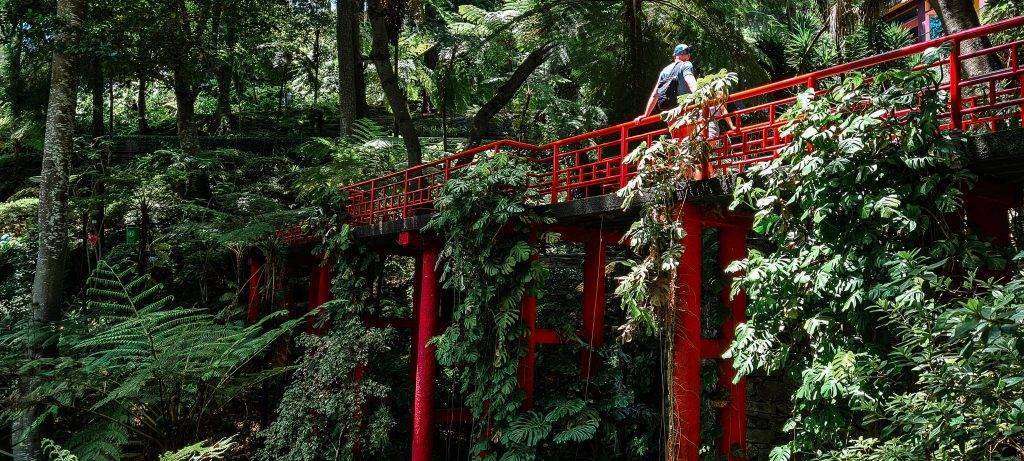 Brug Funchal Botanische tuin