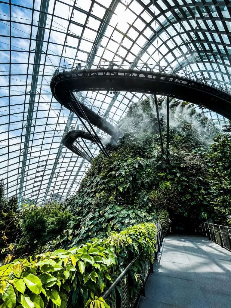 De 10 leukste dingen om te doen in Singapore 6 Gardens by the Bay Cloud Forest