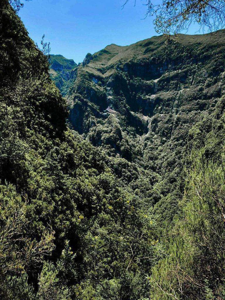 Groene bergen in Madeira