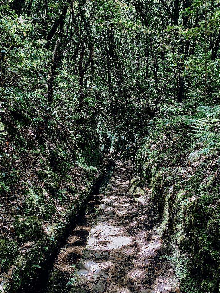 Hiken in Madeira